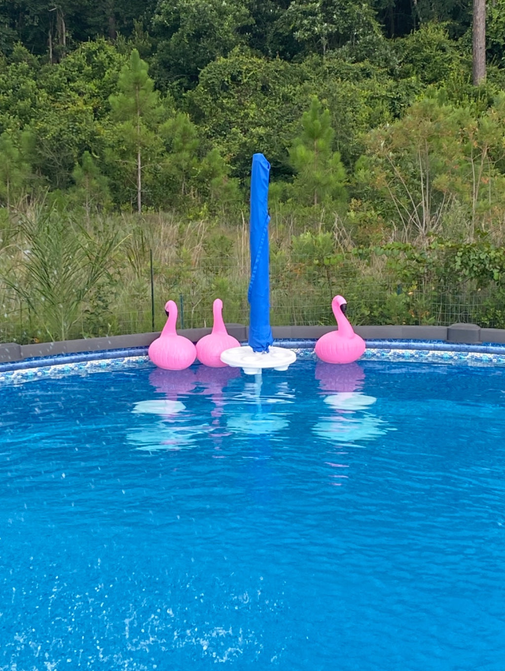 Aqua Station By Floravia