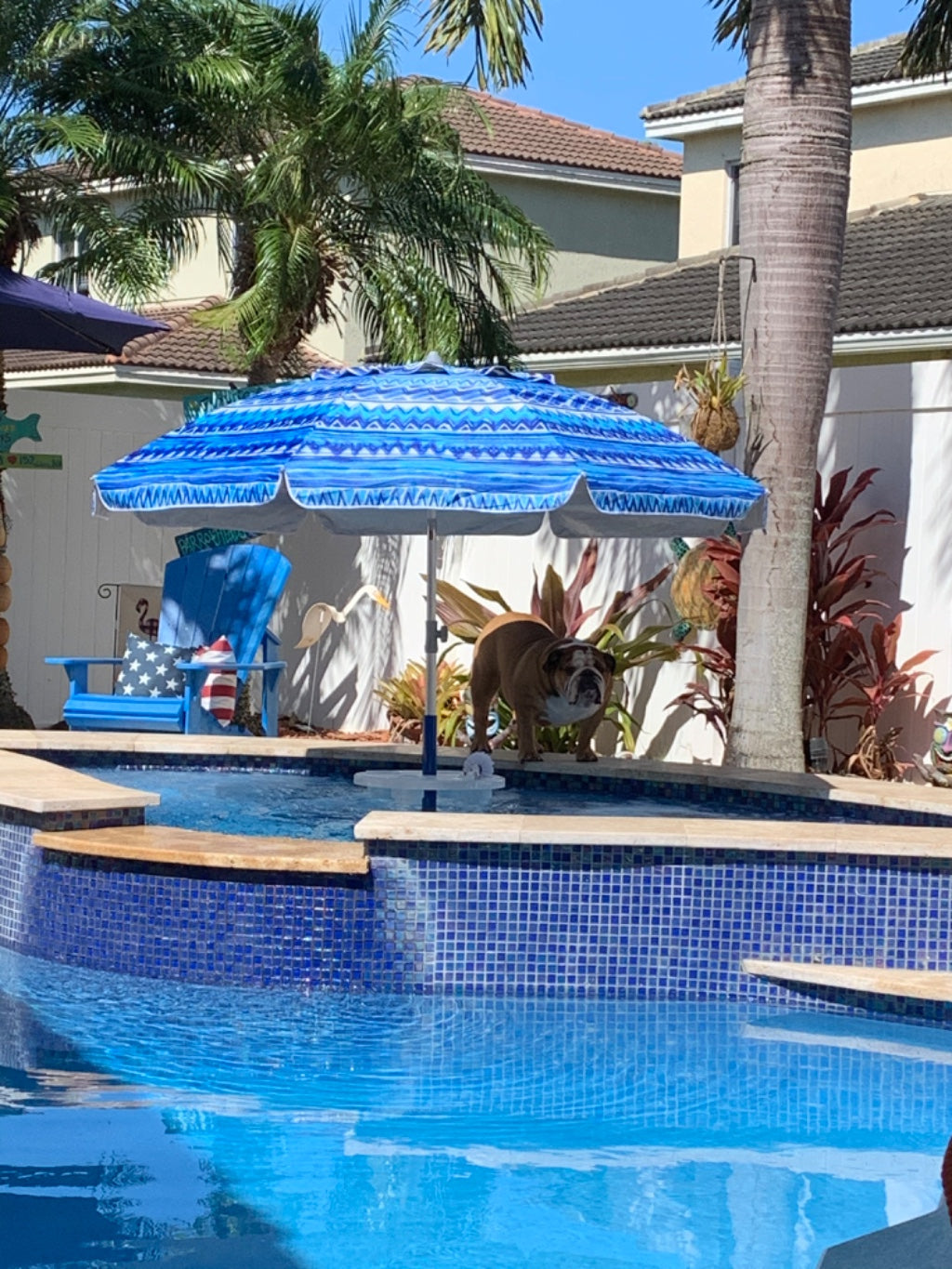 Aqua Station By Floravia